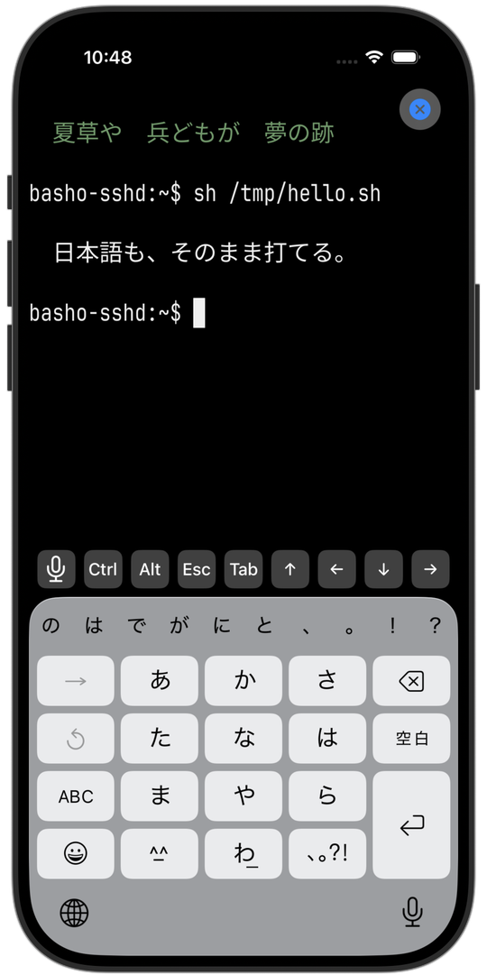 basho on iPhone 17 Pro, iOS 26.4 Simulator